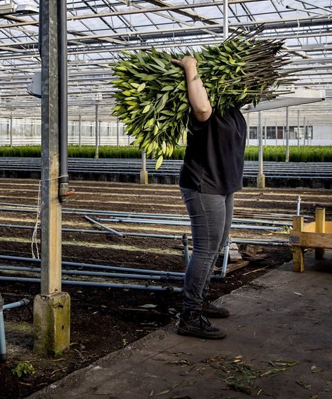 Partijen streven naar beperking arbeidsmigratie zonder economische schade
