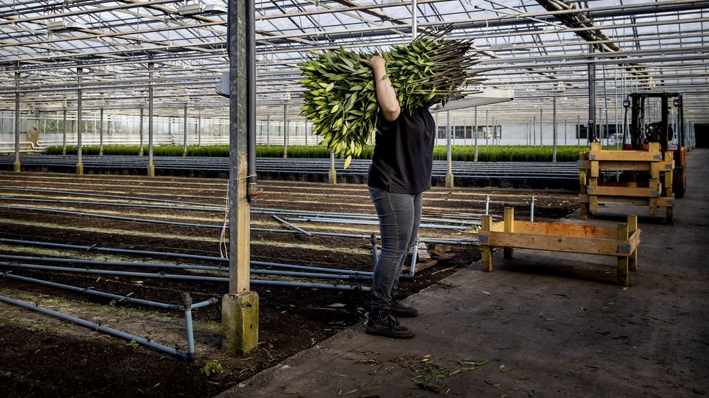 Partijen streven naar beperking arbeidsmigratie zonder economische schade