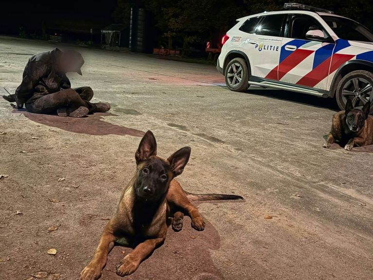 Politie arresteert inbrekers in Flevoland na melding van patrouillerende boeren