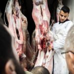 Raad van State steunt verbod op onverdoofd slachten