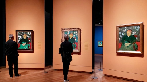 Recordaantal museumkaarten verkocht, maar musea blijven financieel in de problemen