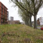 Rotterdam zoekt erfgenamen voor grond in Rotterdam-Zuid om nieuwbouw te realiseren