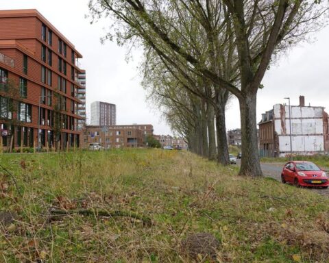 Rotterdam zoekt erfgenamen voor grond in Rotterdam-Zuid om nieuwbouw te realiseren