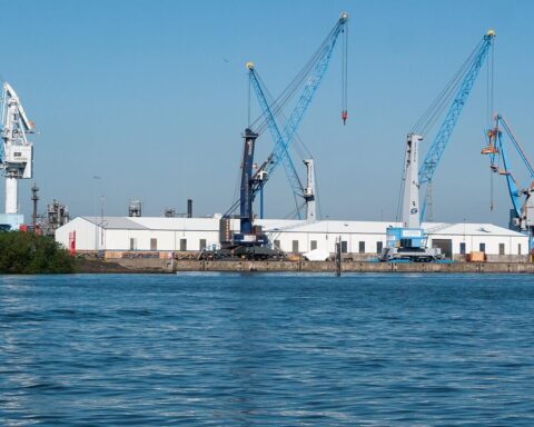 Rotterdamse havenonderneming schort stages op na doden van drie werknemers in twee dodelijke ongevallen