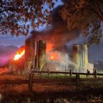 Stalbrand in Susteren kost leven aan 700 varkens, oorzaak nog onbekend