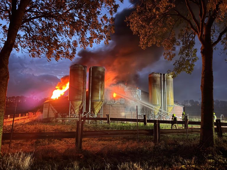 Stalbrand in Susteren kost leven aan 700 varkens, oorzaak nog onbekend