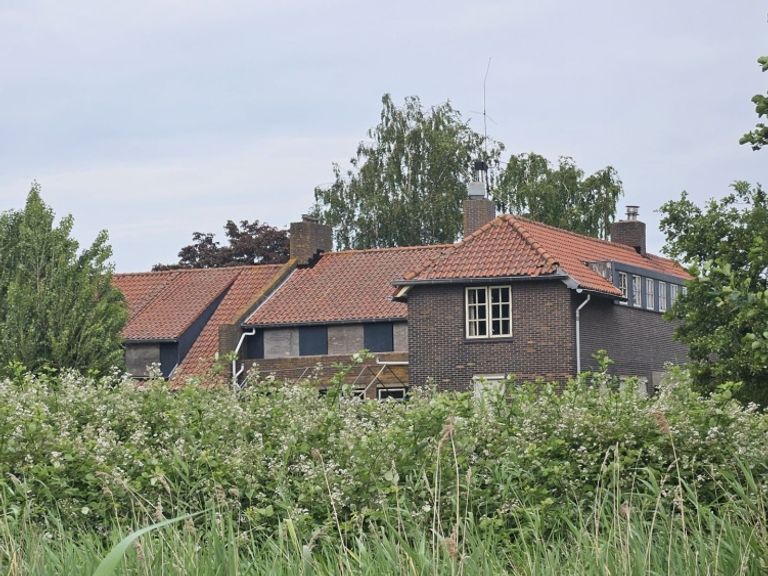 Vertraging van zes maanden voor azc in Vlaardingen door vleermuizen op locatie