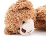 Vrouw (29) en haar 5-jarige dochter omgekomen bij incident in Terneuzen; vader niet verdacht