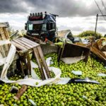 Waarschuwing voor truckers na treinongeluk in Meteren: 'Rijd door de slagbomen'