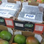 Zes jaar cel voor Rotterdammer wegens smokkel van 1169 kilo cocaïne via haven