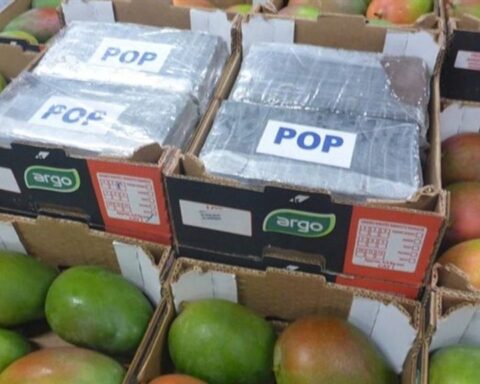 Zes jaar cel voor Rotterdammer wegens smokkel van 1169 kilo cocaïne via haven