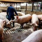 19.000 euro compensatie na ontslag wegens geloof binnen drie dagen in dienst