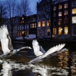 Amsterdam verlicht voor de 14e editie van het Lichtfestival met thema erfgoed