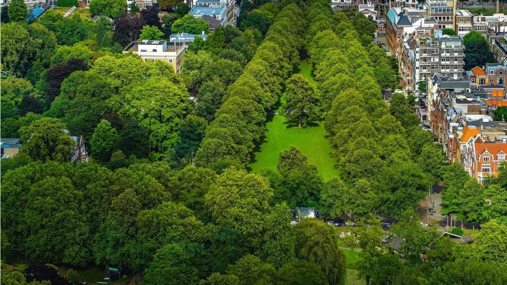 Bomen verhogen jaar op jaar de waarde van woonomgevingen in Nederland