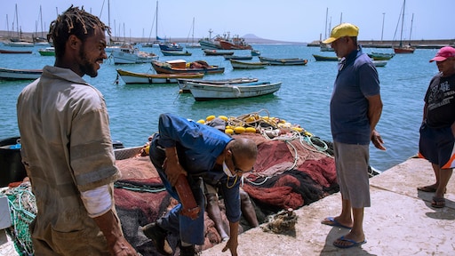 China's metalen invloed en de noodzaak om meer met India en Afrika te handelen
