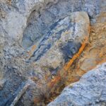 Drie bommen uit de Tweede Wereldoorlog gevonden in Knegsel, Noord-Brabant