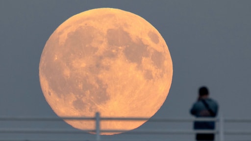 Eerste Duitser op de maan: wie wordt de Europese astronaut?