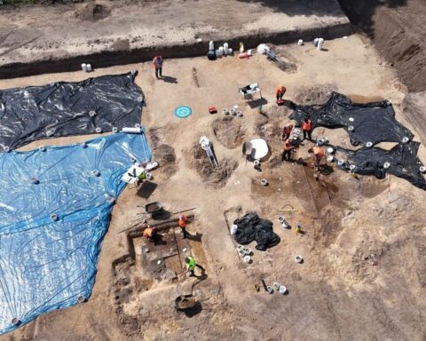 Gelderland investeert 8 miljoen euro in het uitpakken van 16.000 archeologische dozen