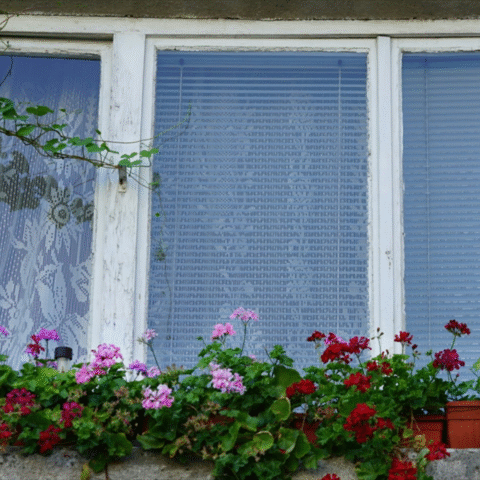 Hof oordeelt dat enkelglas in monumentaal huurpand geen gebrek vormt