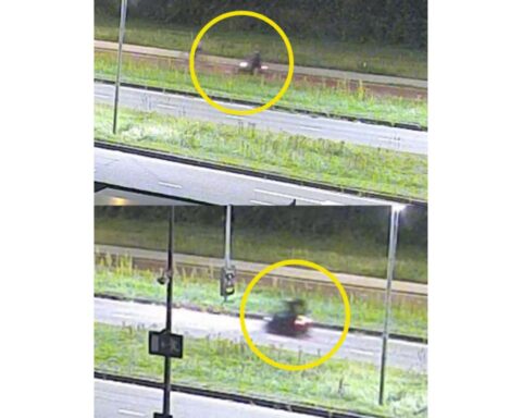 Identiteit van vermoedelijke moordenaar van tienermeisje nog steeds niet bevestigd maanden na arrestatie