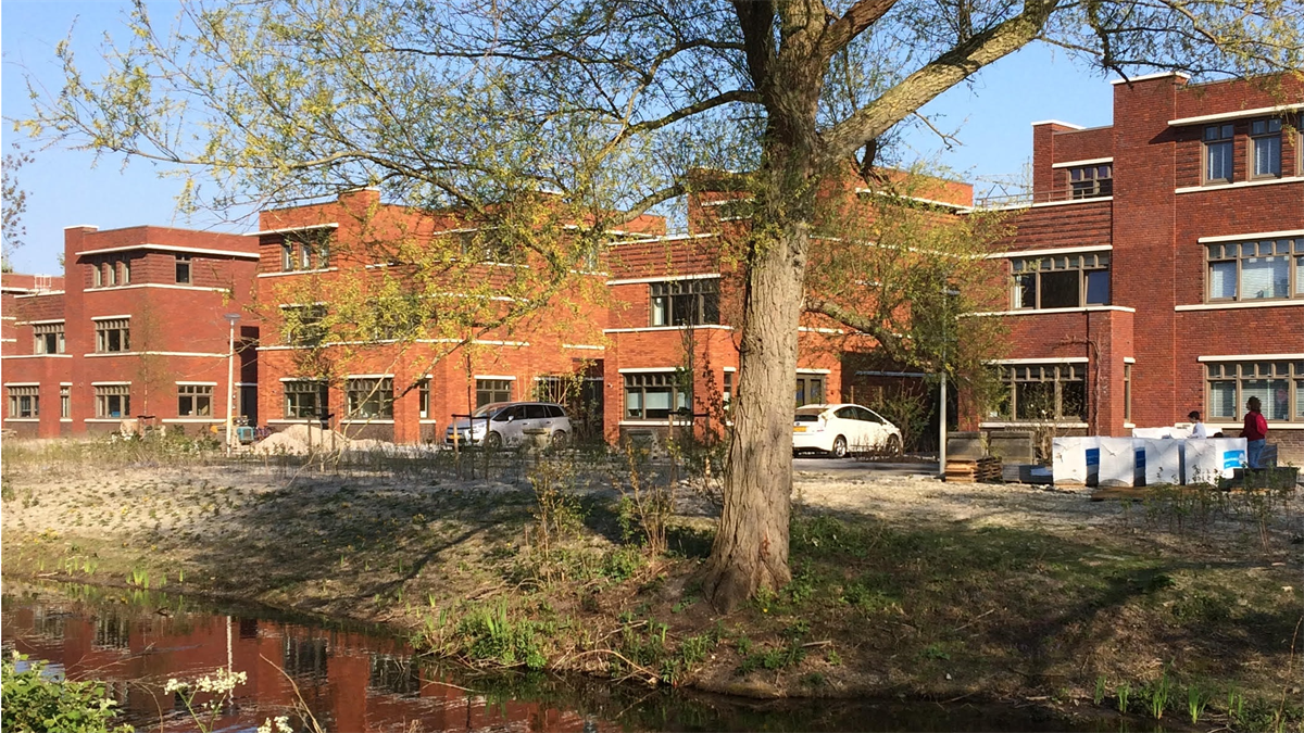 Importbewoners veroveren steeds meer nieuwbouwwoningen in Nederland