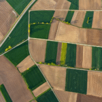 Kabinet onderzoekt drie dagen bedenktijd voor consumenten bij grondaankopen