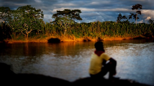 Klimaattop begint in Amazoneregenwoud met focus op milieu-uitdagingen