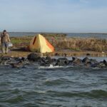 Man overleeft twee dagen zonder voedsel of water op onbewoond eiland in het IJsselmeer