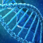 Nederlandse ziekenhuizen pionieren met grootschalig gebruik van nieuwe genetische test voor zeldzame ziekten