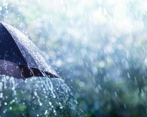 November begint met regenbuien in Nederland, но позже ожидается более сухая погода