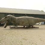 Oud-Vossemeer als ideale locatie voor restauratie van model-dinosaurussen