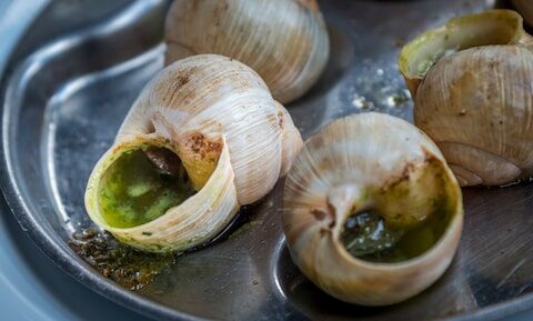 Tienduizenden euro's aan eetbare slakken gestolen in Frankrijk