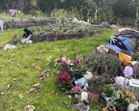 Verdachte van moord op 17-jarige Lisa uit Abcoude hoorde stemmen en herinnert zich de feiten niet