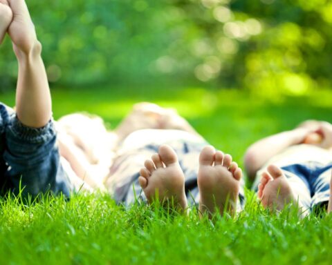 VVD stelt wet voor, позволяющая голландским детям иметь до четырёх родителей