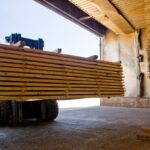 Een verborgen stroom van Russisch berkenhout bereikt de EU ondanks sancties