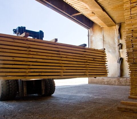 Een verborgen stroom van Russisch berkenhout bereikt de EU ondanks sancties