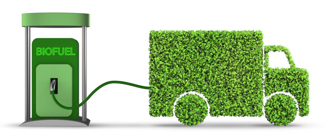 Oekraïense bio-ethanol versterkt brandstofdiversificatie en energiestabiliteit in de EU