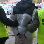 Poolse autoriteiten rollen smokkelnetwerk voor houtimport uit Rusland en Belarus op