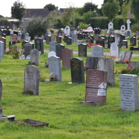 Dordrechtse begraafplaats opende 30 kisten voor experimenten zonder toestemming