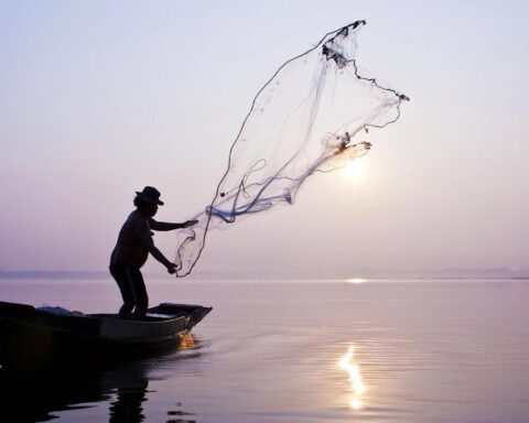 Garnalenvisserij verliest vaartuigen door afkoopregeling, sector vraagt om krimp