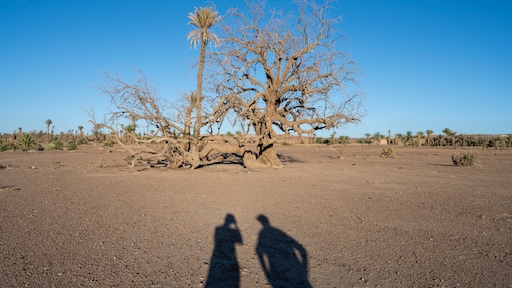 Hitte in 2025 blijkt dodelijkste weersextreem evenement te zijn