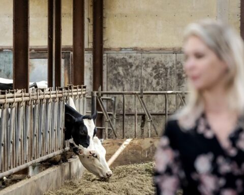 Kamer bespreekt mestplannen Wiersma en conflicten binnen het kabinet