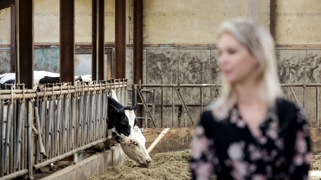 Kamer bespreekt mestplannen Wiersma en conflicten binnen het kabinet
