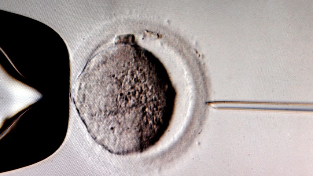 Kamermeerderheid bereikt voor het kweken van embryo's voor onderzoek