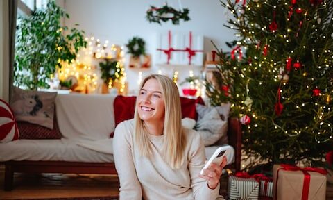 Kerstverlichting: de kosten van rendierlichtslang en lampjes in de boom