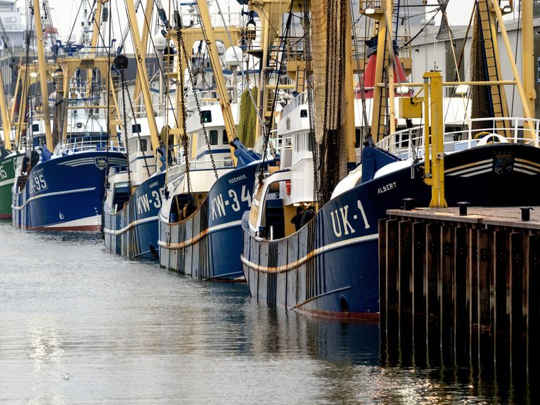 Kritiek op 'onzichtbare' Nederlandse vissers die volgsystemen uitschakelen in Duitse wateren