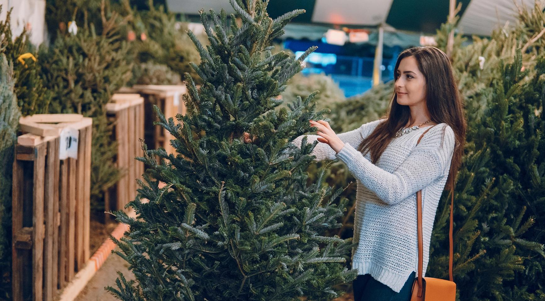 Nassauelijk, winderig weekend verwacht tijdens drukste dag voor de kerstboomverkoop