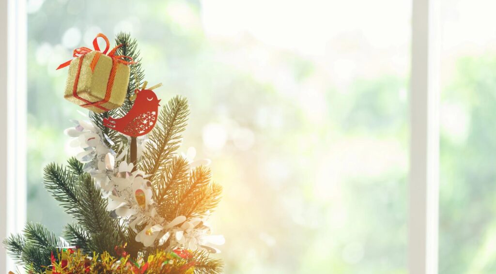 Nederland beleeft zonnigste kerst ooit en koudste in 25 jaar