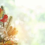 Nederland beleeft zonnigste kerst ooit en koudste in 25 jaar