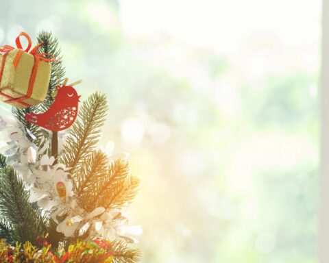 Nederland beleeft zonnigste kerst ooit en koudste in 25 jaar